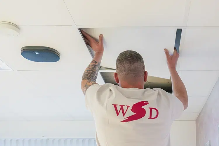 WSD-Leistungen-Leckortung-Leckbereich Professionelle Leckortung von WSD, Leckage
